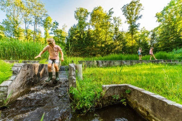 Rijksmonument Waterloopbos